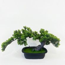 Product image of Eterna- დეკორატიული ხე ,,ბონსაი'' 50*25*28
