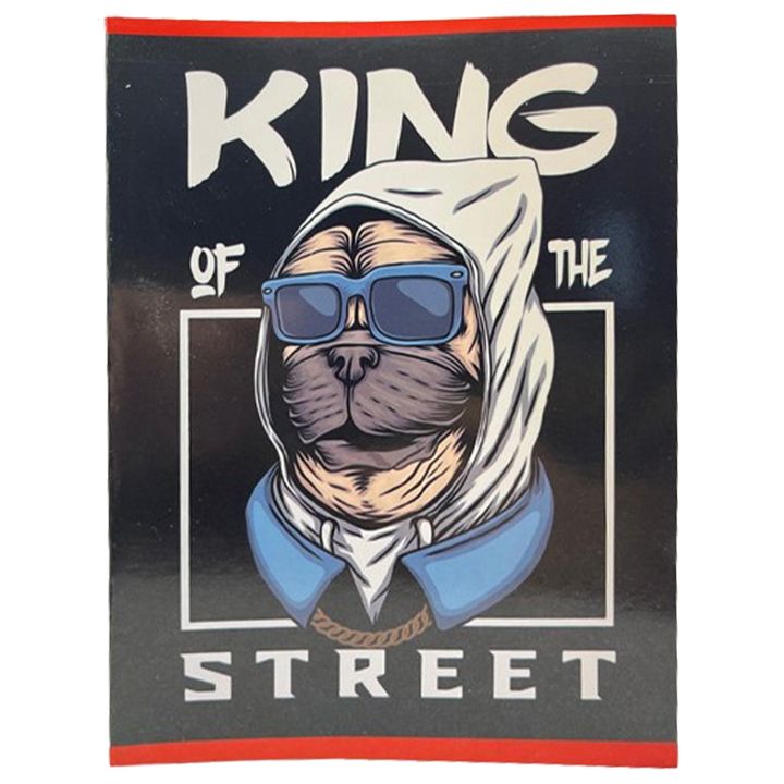 pensan-rveuli-48-furtsliani-tsalkhaziani-king-of-the-street