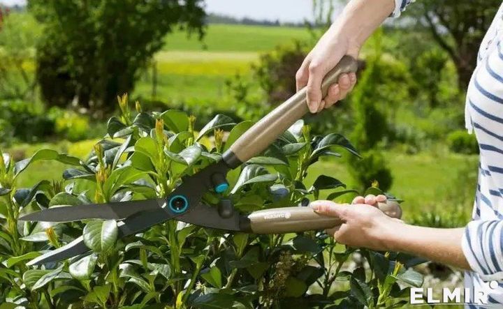 gardena-makrateli-buchqebistvis-hedge-clipper-naturecut-fsc-100-photo-3
