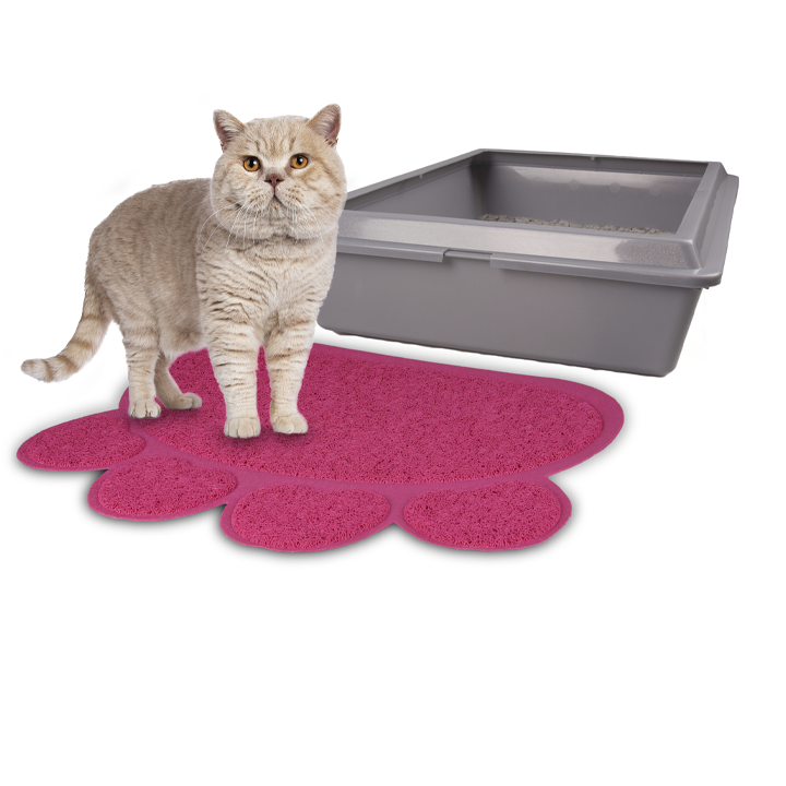 flamingo-katis-tualetis-khalicha-photo-2