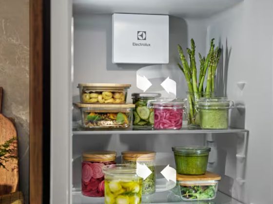 electrolux-rng7te18s-orkameriani-matsivari-photo-2