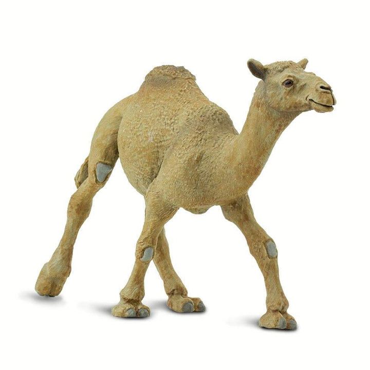 safari-dromedary-camel-toy-satamasho-figura-photo-2