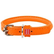 Product image of COLLAR ძაღლის საყელო