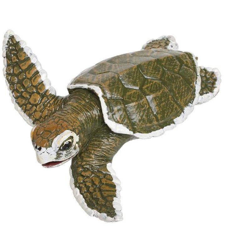 safari-kemps-ridley-sea-turtle-baby-satamasho-figura