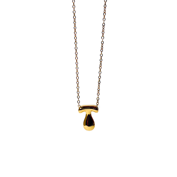 titanis-mooqrovili-qelsabami