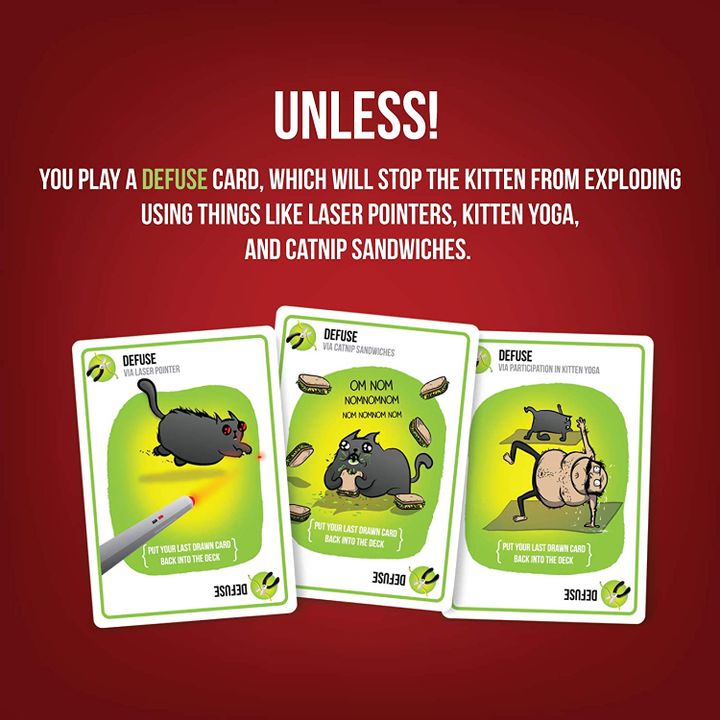 samagido-tamashi-exploding-kittens-photo-2