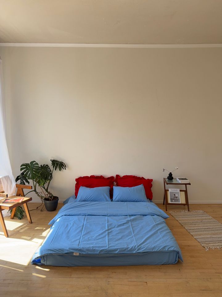 mattina-2-satsoliani-tetreulis-nakrebi-photo-4