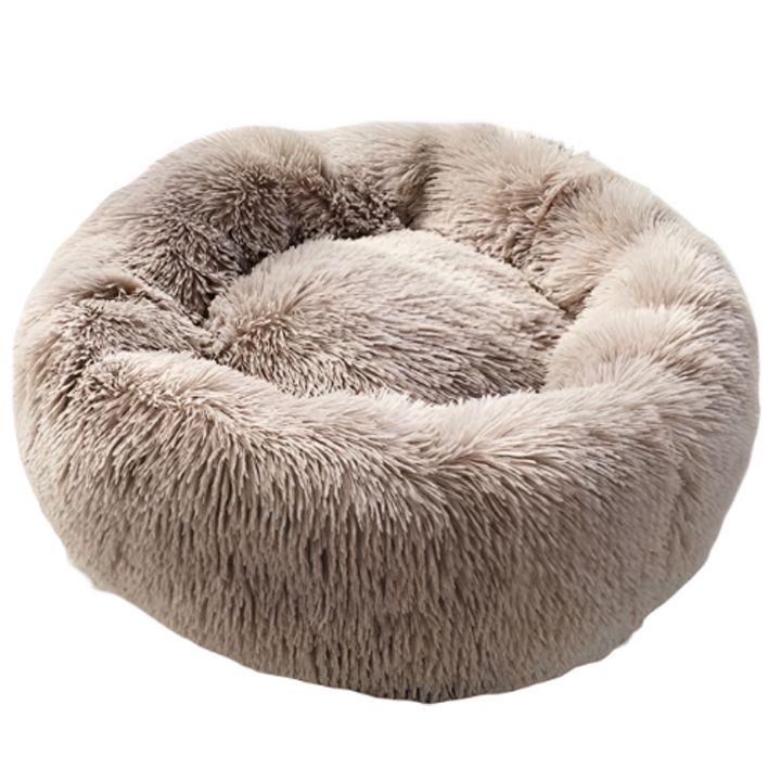 petsup-tskhovelis-satsoli