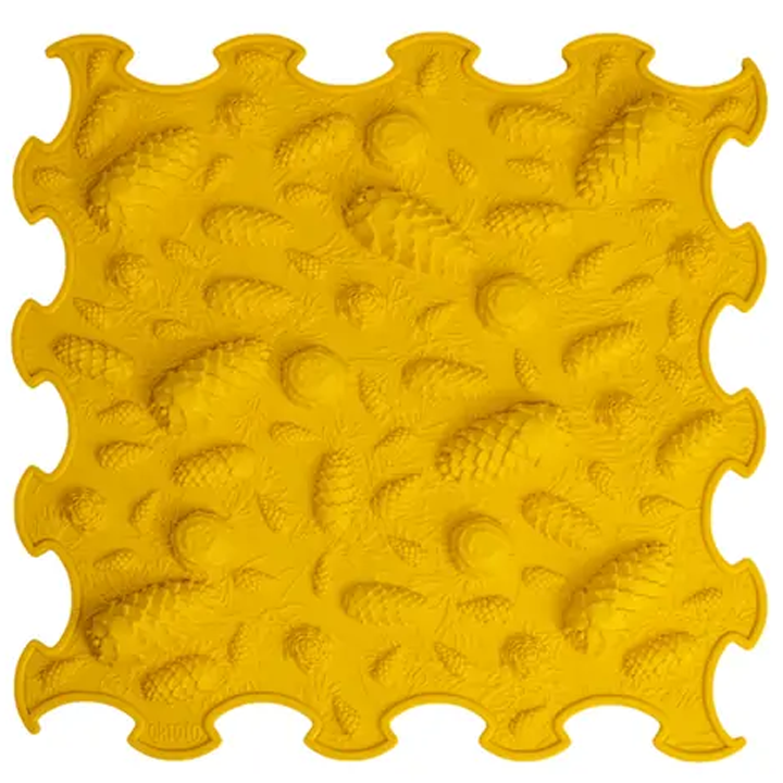 ortoto-pinecones-khalicha-fazli