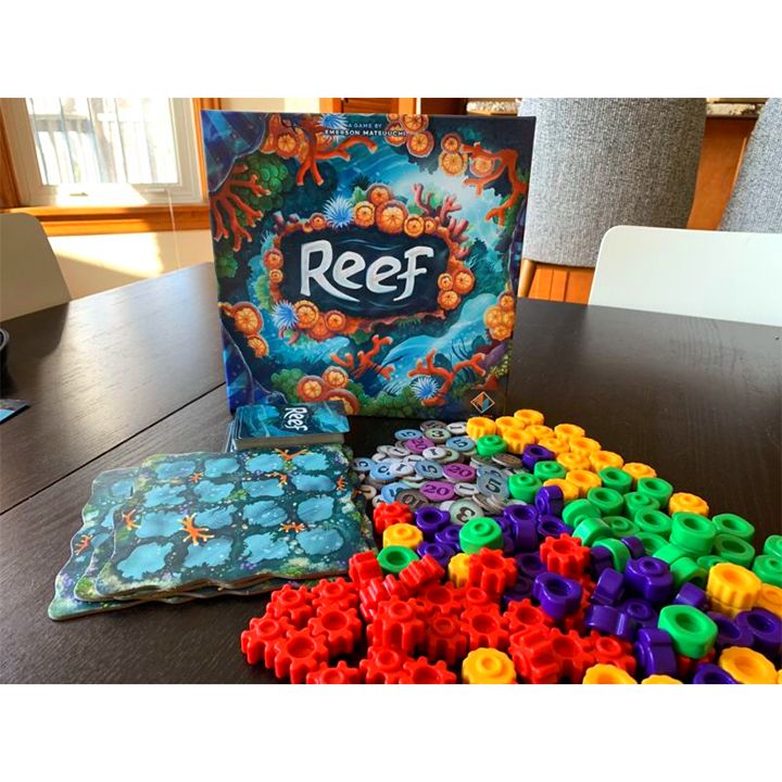 samagido-tamashi-reef-photo-2