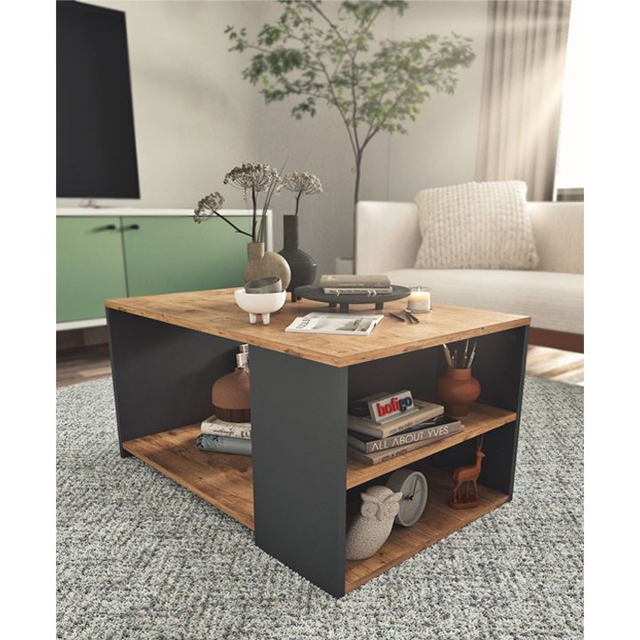 comfo-2-taroiani-qavis-magida-photo-2