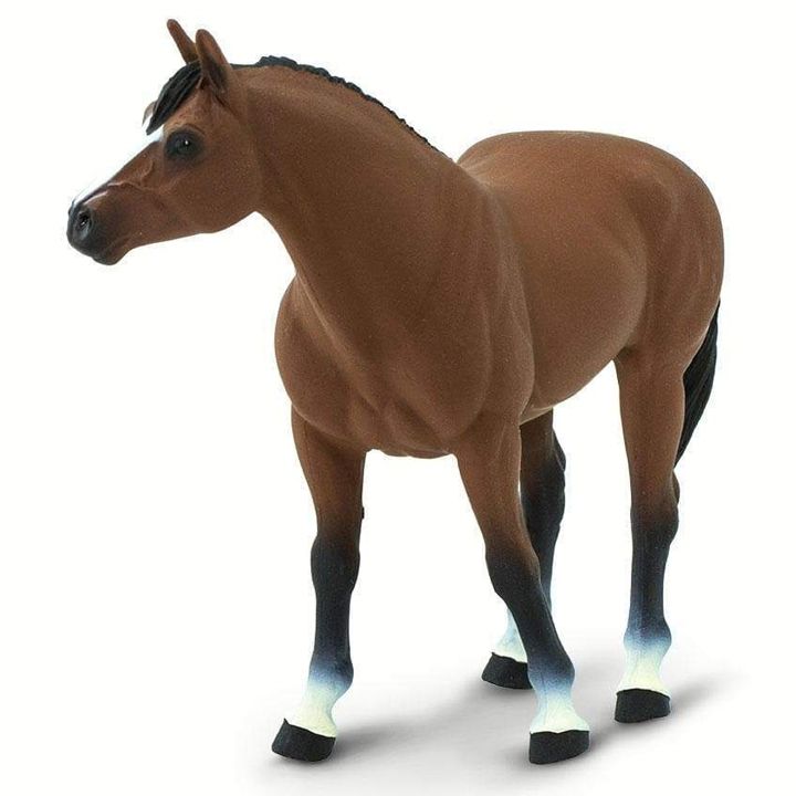 safari-quarter-horse-gelding-satamasho-figura-photo-3