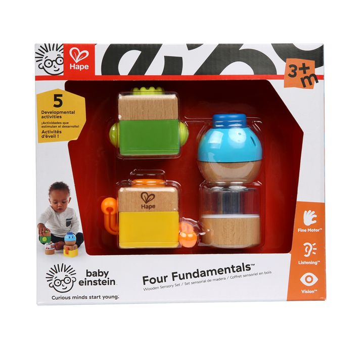 hape-four-fundamentals-khis-gansavitarebeli-satamasho