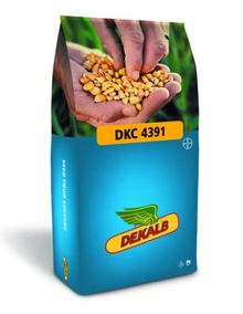 Product image of სიმინდის თესლი - დეკალბი DKC 4391 - FAO 350