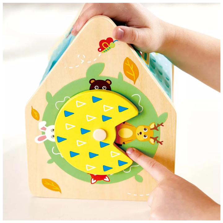 hape-khis-sorteri-sakhli-photo-2