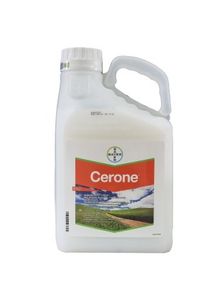 Product image of ცერონი