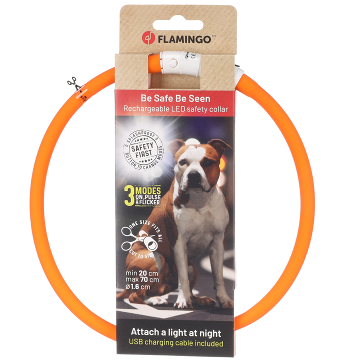 flamingo-dzaghlis-saqelo-photo-2