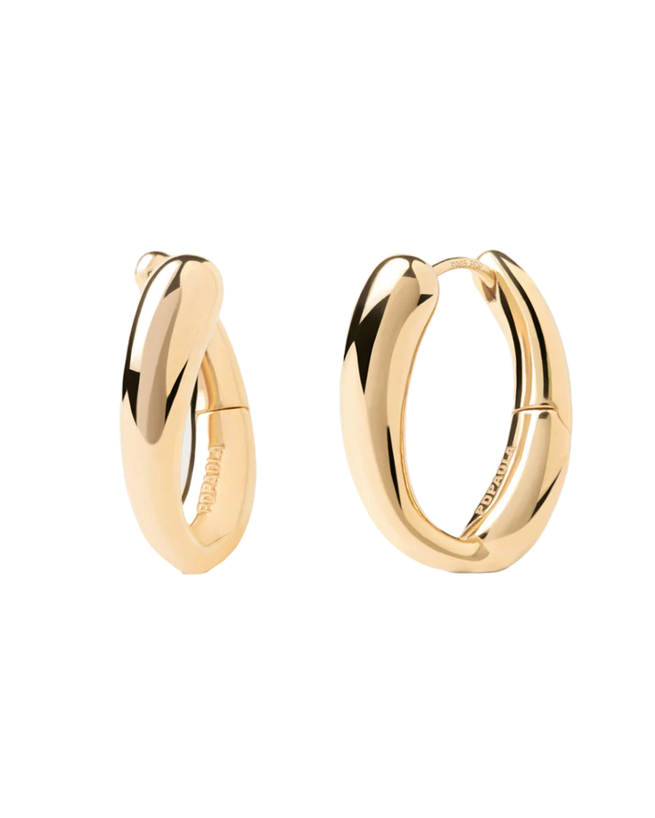 pdpaola-earring-ar01-e15-u-oqrosferi-qalis-saqure-925-sinjis-vertskhli