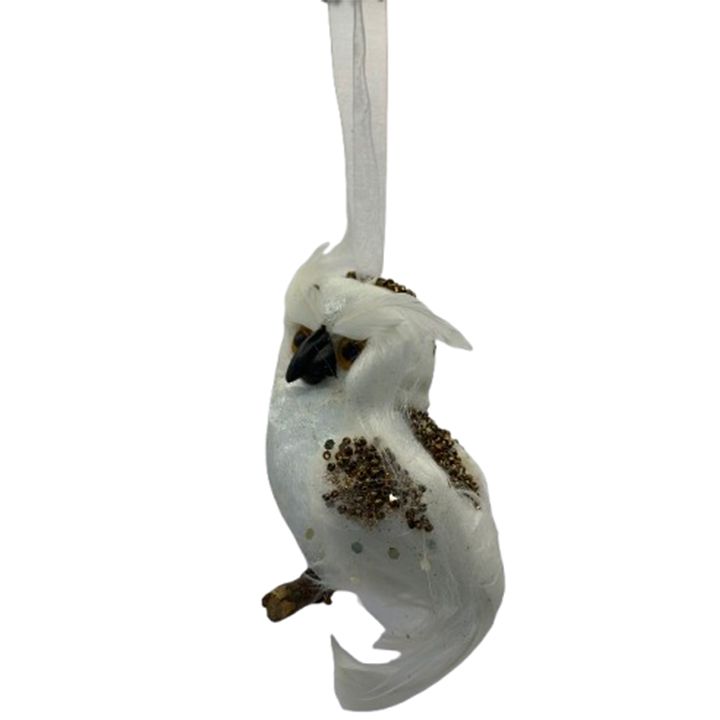 nadzvis-khis-satamasho-bu-12sm-photo-3