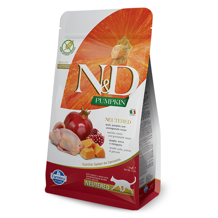 nd-pumpkin-cat-farmina-georgia-nd-gogra-mtsqeri-brotseuli---sterilizebuli-kastrirebuli-zrdasruli