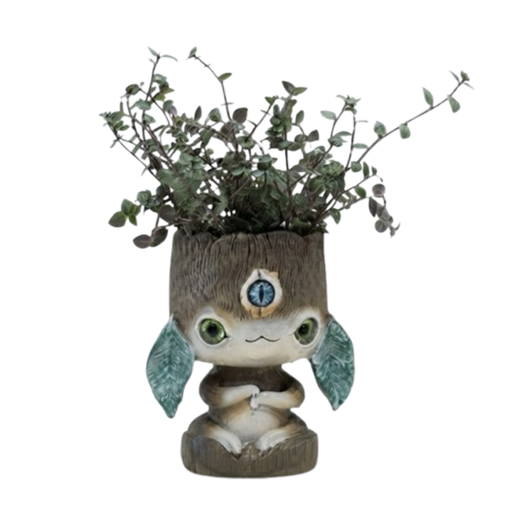 dear-plants-callisia-repens-mtsenare-qotnit