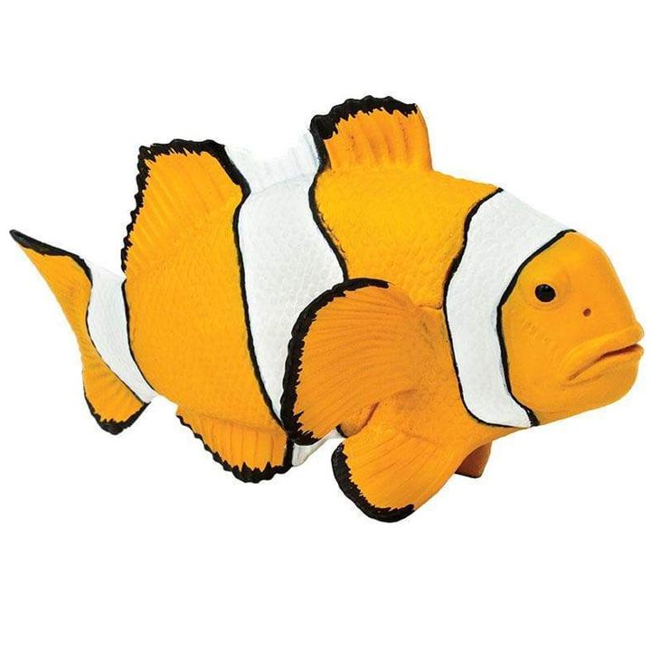 safari-clown-anemonefish-satamasho-figura-photo-2