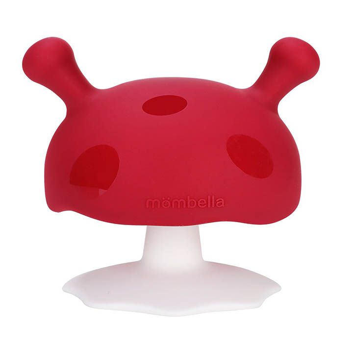 mombella-ghrdzilebis-masazhori