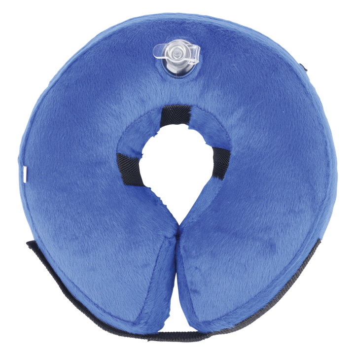 m-pets-air-hug-gasaberi-saqelo-s-photo-2