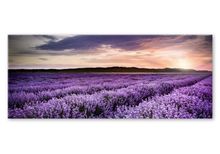 Product image of სურათი მინაზე Styler LAVENDER FIELD EX372 50X125