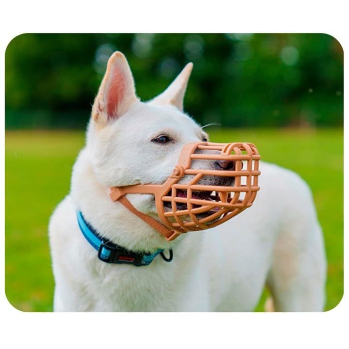 baskerville-classic-alikapi-dzaghlebistvis-photo-4