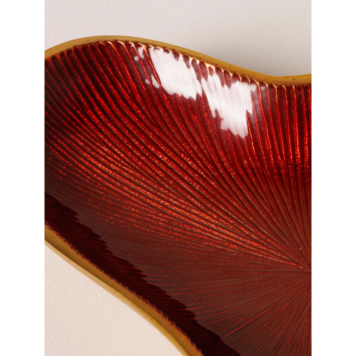 laboratory-my-home-langari-photo-4