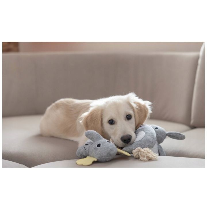 kerbl-lekvis-satamasho-photo-2