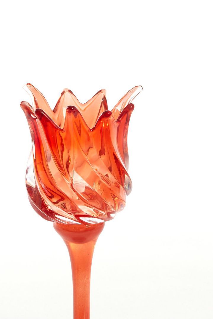 laboratory-my-home-sasantle-photo-2