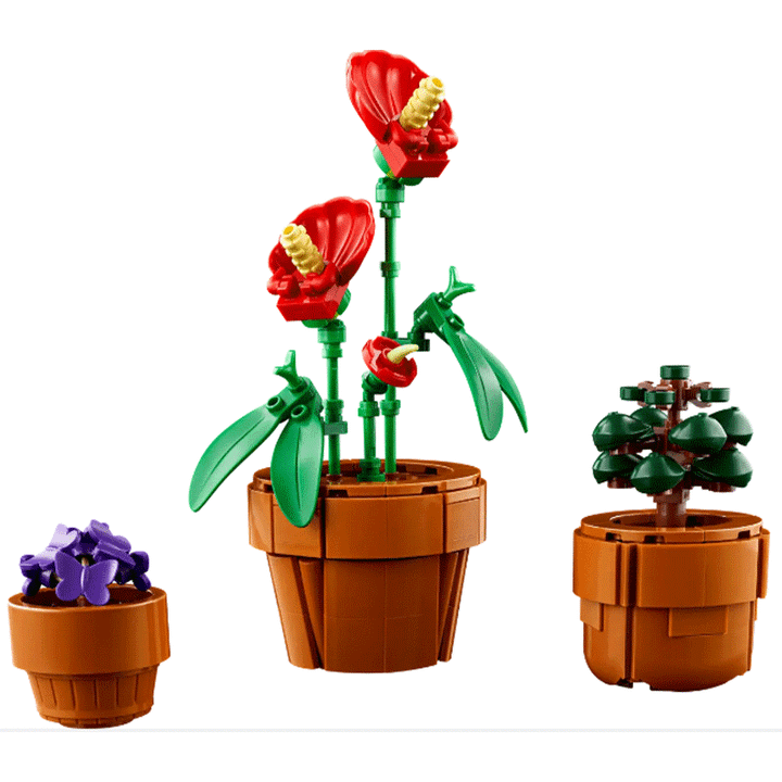 lego-icons-tiny-plants-asatsqobi-konstruqtori-photo-4