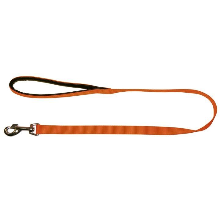 kerbl-dzaghlis-sabeli