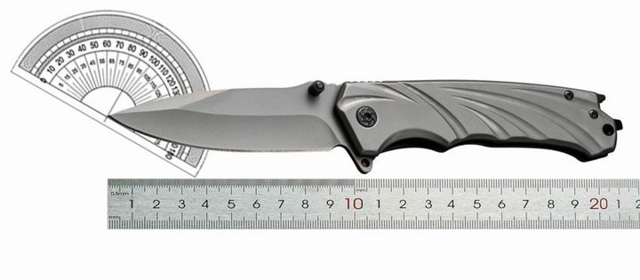 gasashleli-dana-photo-2