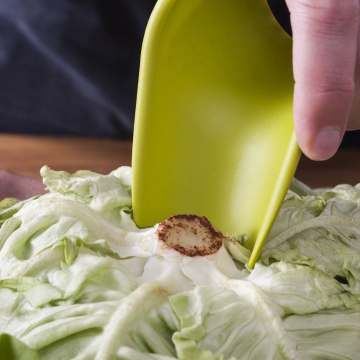 tabla-nova-salatis-sachreli-photo-2