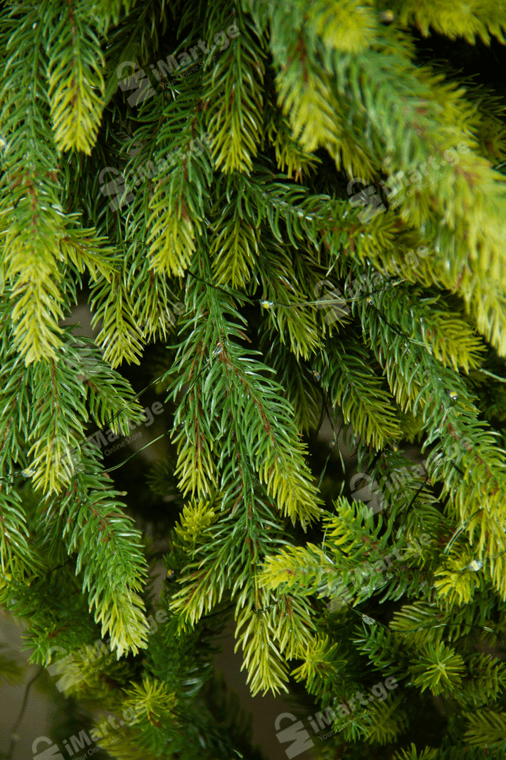 silikonis-fumfula-nadzvis-khe-270sm-photo-3