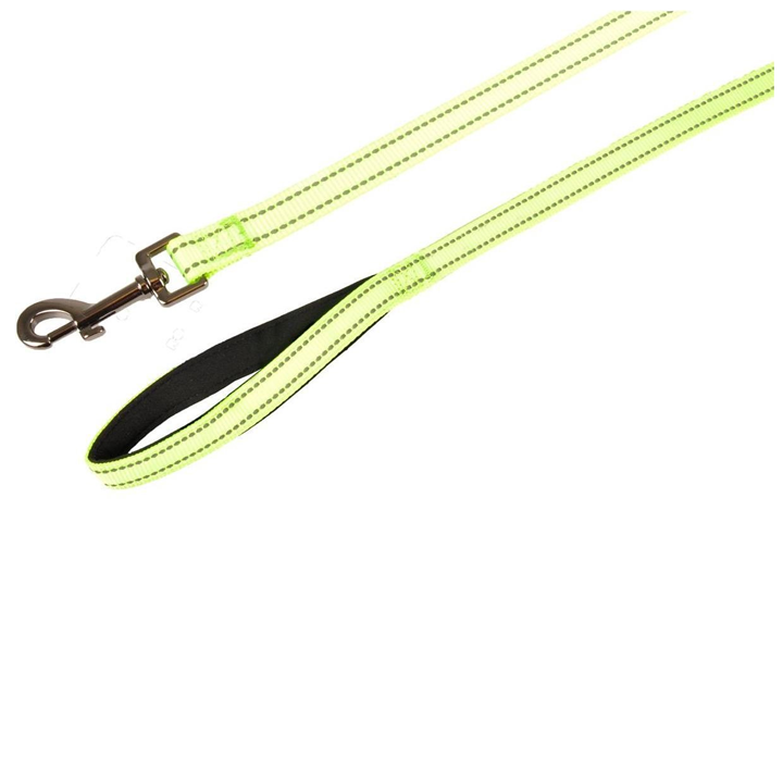 flamingo-dzaghlis-sabeli