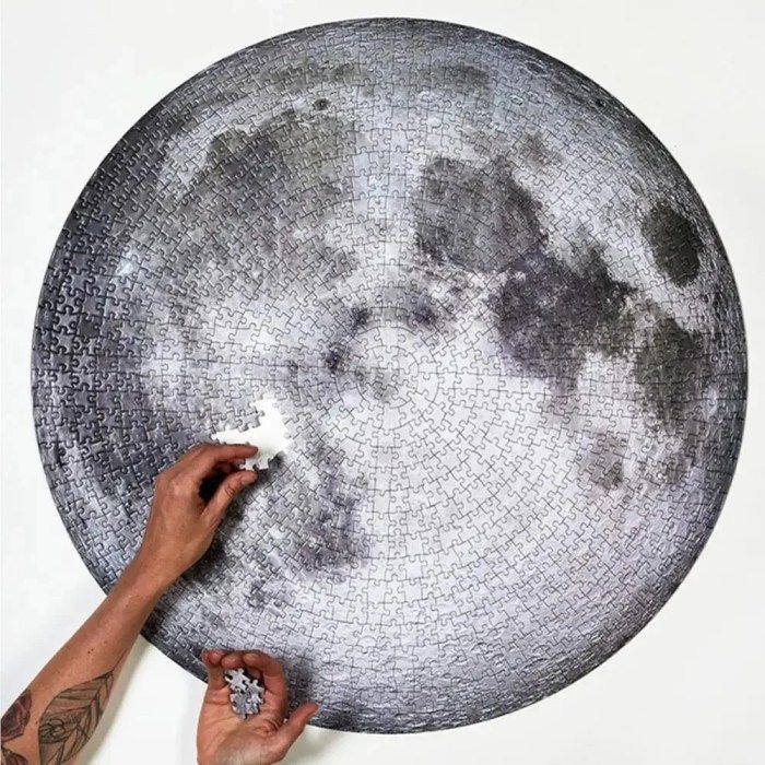 asatsqobi-fazli-mtvare-photo-2