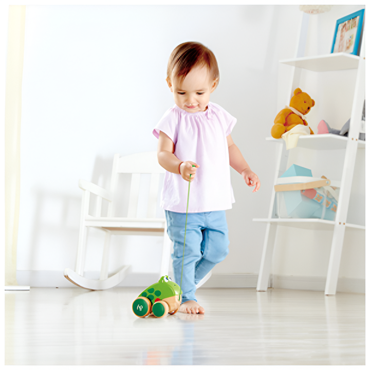 hape-pull-along-frog-khelit-satarebeli-khis-baqaqi-photo-4