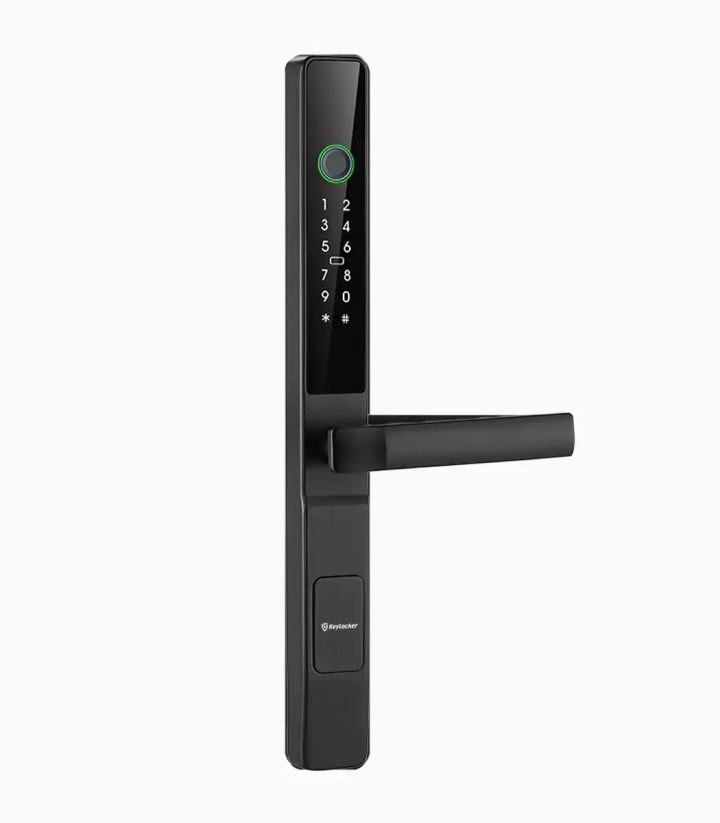 keylocker-f2-karis-chkviani-saketi-photo-3