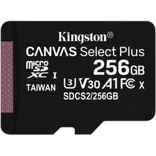 Product image of Flash Card/ Kingston 256GB microSDXC Canvas Select Plus 100R A1 C10 Card (Single pack w/o adapter)