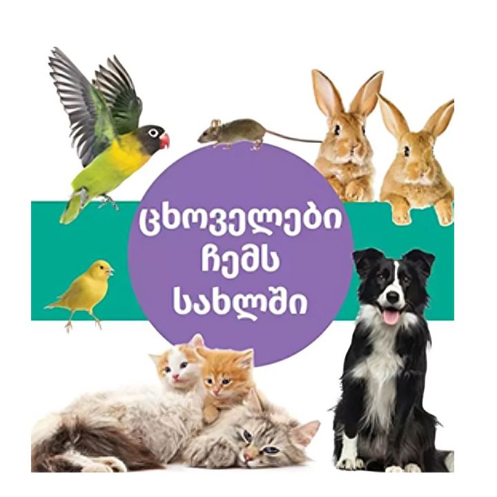 chanky-book-tskhovelebi-chems-sakhlshi