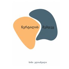 Product image of ნინი ელიაშვილი - წერტილის შემდეგ