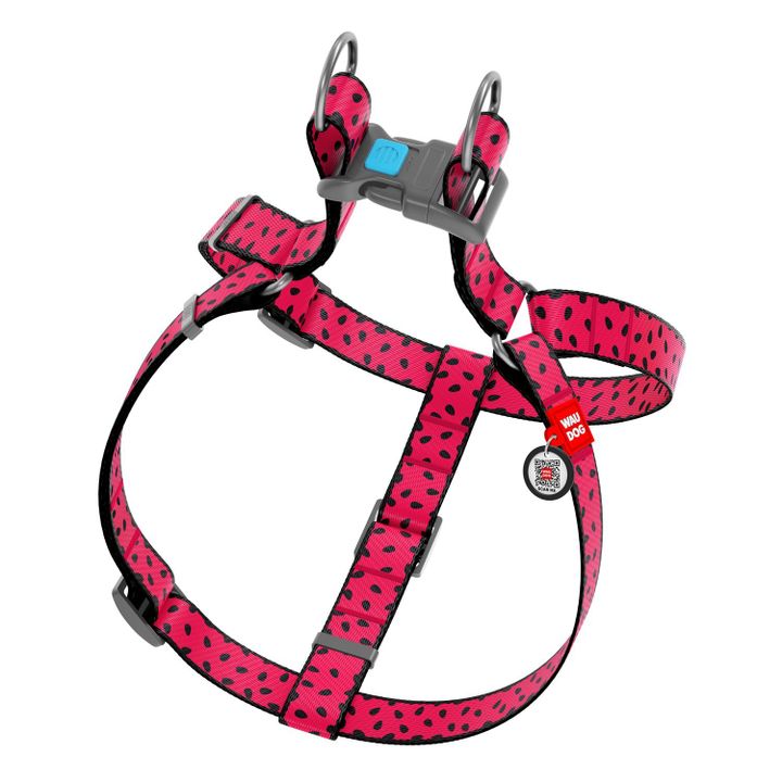 collar-dzaghlis-samkerde-satarebeli-neilonis-qr-pasportit---vardisferi-zoma-40-55sm-15mm-photo-2