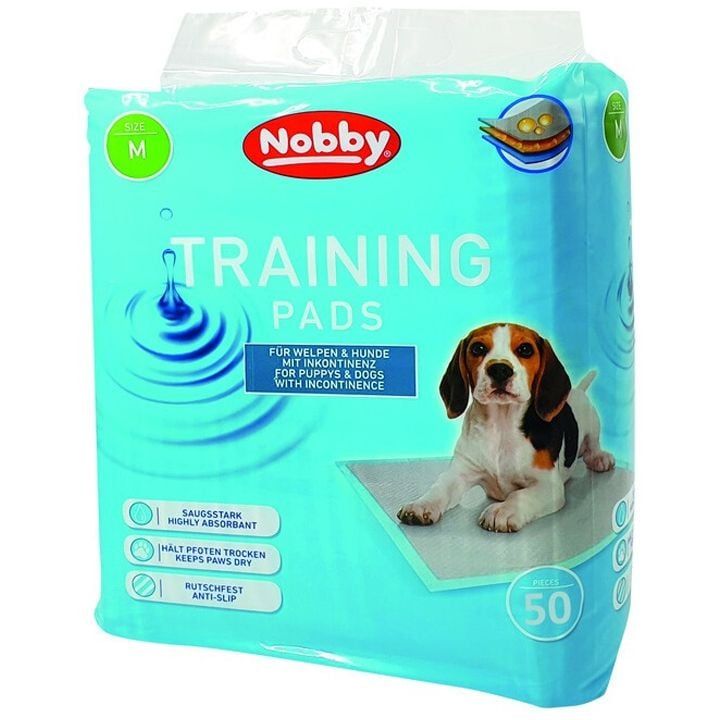 nobby-dzaghlis-satsrtvneli-safeni-50ts