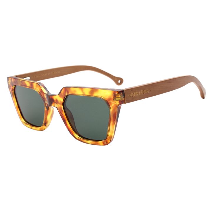 parafina-alga-gentle-tortoise-mzis-satvale-photo-2
