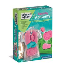 Product image of Clementoni Science & Play ანატომიის რბილი ორგანოების ნაკრები