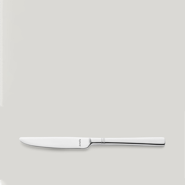 amefa-palmon-215sm-sadilis-dana-photo-2